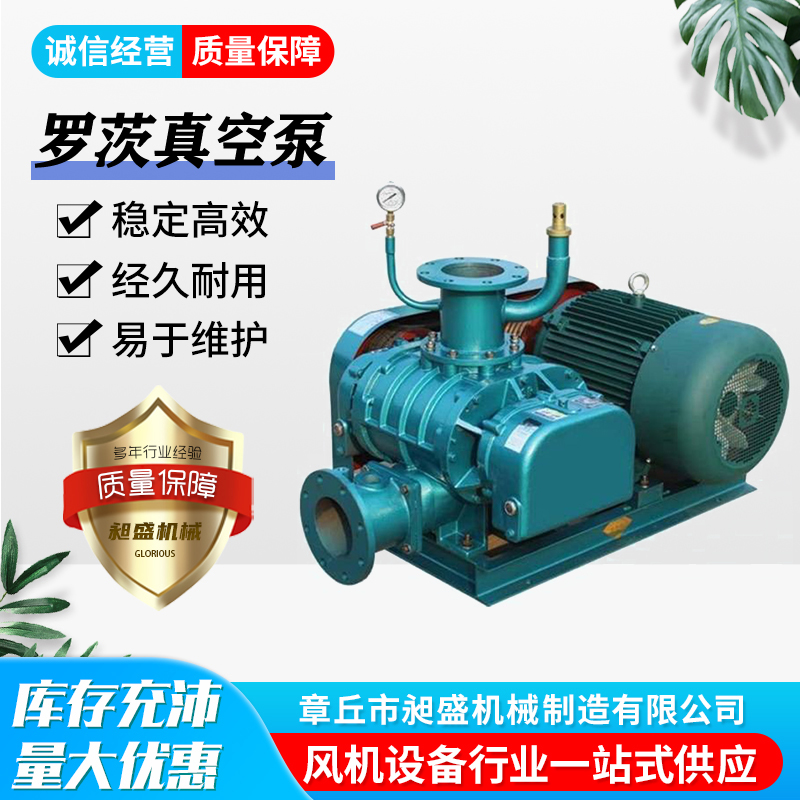 負壓羅茨真空泵